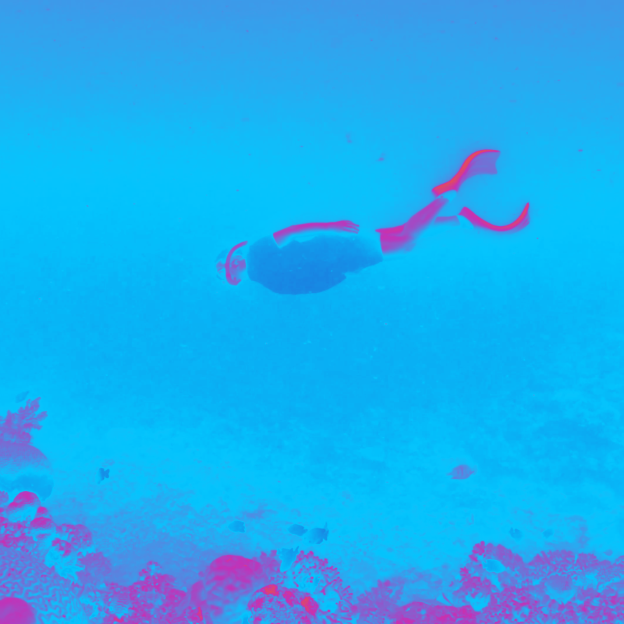 Freediving